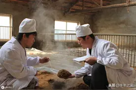 发酵床式养羊技术图片