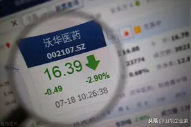 沃华医药年报解读（二）图片