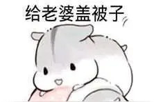 仓鼠表情包：给老婆盖被子图片