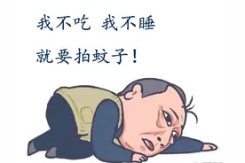 夏天马上到来，关于讨厌的蚊子，你需要知道这些……图片