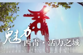 “津心办”首个区级旗舰店上线 232个身边事随时掌上办图片