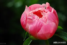 被曾国藩喜欢的“花未全开月未圆”，出自哪里，有何深意？图片