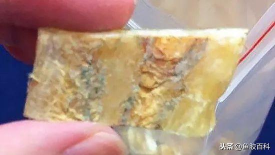 变质的花胶图片 2026年变质的花胶图片真实