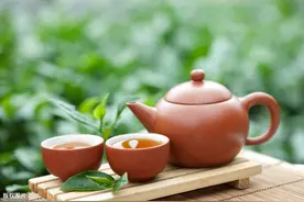 茶叶哪一泡最好喝？来看看不同茶叶的“耐泡”指南图片