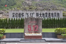 日本科学家发现：含羞草的另一种功能，预测地震图片