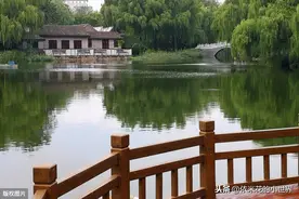 故事：公园喂奶遭遇跟踪猥琐男之后，我却没有报警图片