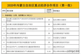 总投资3778亿，内蒙古2020年重点经济合作项目清单（共193个）图片