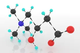 左旋肉碱的正确使用方法，让你快速瘦瘦瘦图片