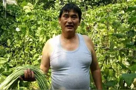 大衣哥被吸血10年：老婆想当网红，儿女在家啃老，全村直播他赚钱图片