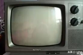 八十年代风靡中国的日本品牌，你见过几种？用过的证明你老了图片