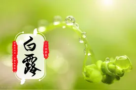 白露到，鲫鱼闹····野钓鲫鱼这七个关键技巧一次全告诉你图片