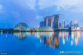 新加坡金融管理局公布数字货币相关支付服务公司豁免名单图片