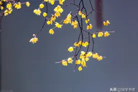 《菜根谭》：人有做事的才气，更要有“混事”的和气图片