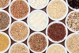 想要减肥怎样减少主食的摄入？图片