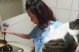 女子煮饭时抱着猫，喵的体型却很扎眼：喂猪饲料长大的吗？图片