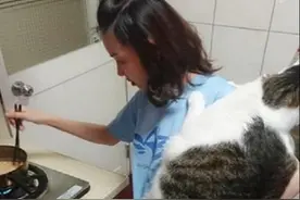 女子煮饭时抱着猫，喵的体型却很扎眼：喂猪饲料长大的吗？图片