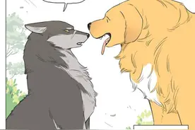 萌系治愈漫画： 小土豆长大了，勇敢的与蛇对抗保护狼王！图片