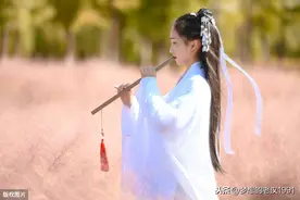 古色古香中寻历史芬芳，小姐姐、小哥哥你认为汉服好看吗图片