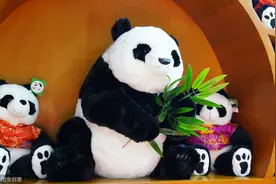 小说：家中玩具众多儿子只爱便宜娃娃，我清洗后才知其中秘密图片
