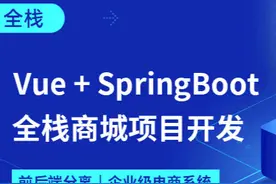 学会就能接项目！Vue + Spring Boot 实现全栈商城项目开发图片