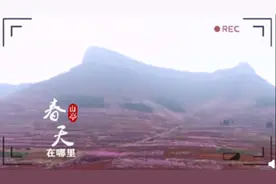 山亭画册：春天在哪里图片