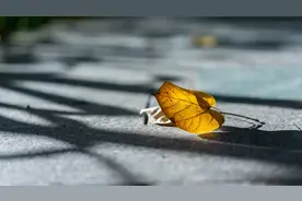为什么现在的人都越来越沉默了？多半是这三个原因图片