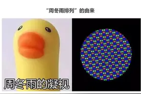 令周冬雨迷惑不解的“周冬雨排列”到底是个啥？图片