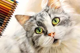 这是画我不信！日本学生如神笔马良，3D手法绘猫惊呆网友图片