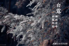 明日白露，白露是啥意思？什么时候能真正入秋？答案在这里图片