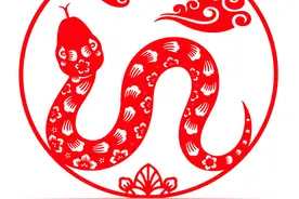 三连问：蛇酒是愚昧和糟粕？毒蛇泡酒危险吗？现代医学怎么看？图片