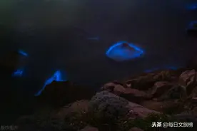 浙江舟山：深夜大海现荧光，东极岛变身深夜蓝魅图片