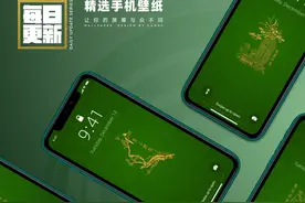 手机壁纸 | 烫金中国福纹・龙凤呈祥图片