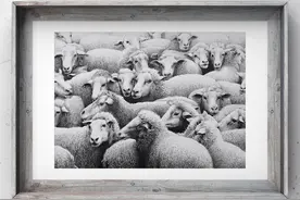谭伯虎钢笔画手绘作品精选图片