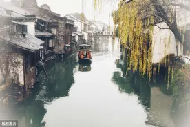 飞花令——教图片