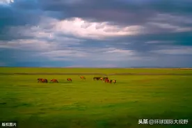 世界语的理据学研究图片