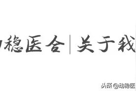 动稳医合｜关于我们图片