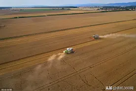 跨区作业即将来临，小麦机销售市场出人意料图片