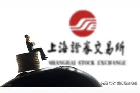 上交所“换将”：证监会上市部主任蔡建春赴任总经理图片