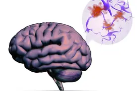 科学家最新发现一种物质（NAD）可以推迟老化延缓衰老预防老年病图片