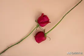 那年我们在毕业季分手，10年后的你还记得当初那个夏天吗？图片
