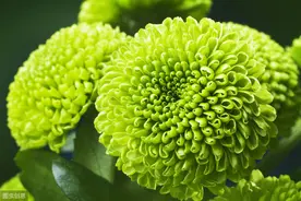 精选清新壁纸，静守时光，以待流年图片