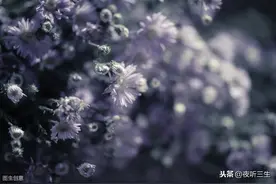 【夜听三生】那年，那月，那日图片