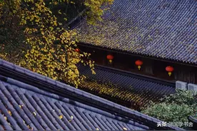 《菜根谭》：以君子品格修身，以随和态度处事图片