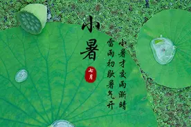 今日小暑，做了道豆腐菜，没装盘就夹没了，做法简单，味道超好吃图片
