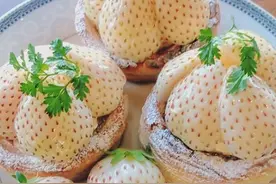 饮食指南：连美食家都感觉奇特的6种白色食物，看看你吃过几种图片