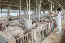 耕地上建的养殖场是否改变土地用途？被划为禁养区是否应该补偿？图片