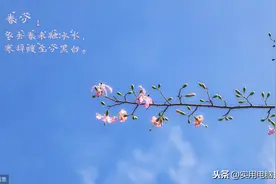 用DOS命令取消文件的只读属性图片