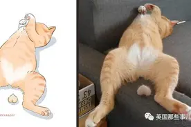 这些沙雕“猫片”经过插画师的二次创作，简直更萌了图片