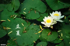钓鲤鱼还要靠运气？运用鲤鱼的习性特点，有这三个技巧就够了图片