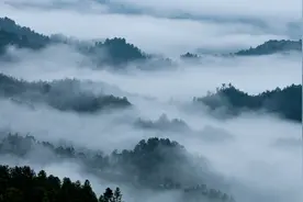 这一天，我等了十年图片